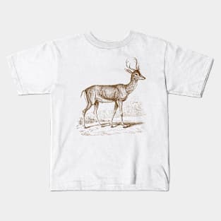 Roe Deer Vintage Wildlife Illustration Kids T-Shirt